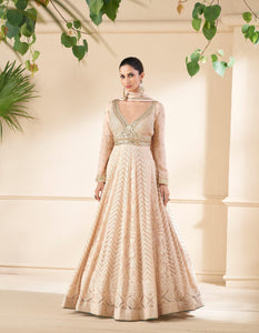 Functions Wear Lucknowi Embroidered Anarkali Gown