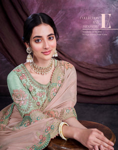 Shaadi Functions Wear Embroidered Sari