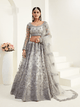 Wedding Special Grey Net Designer Lehenga Choli by Fashion Nation