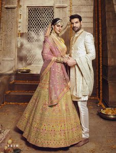 Festive Majestic Rajasthani Lehenga Choli for Online Sales by Fashion Nation