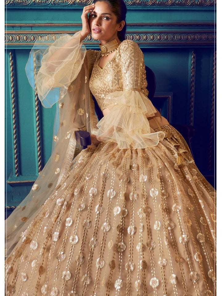 Engagement Wear Beige Net Stylish Lehenga Choli - Fashion Nation