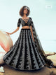 Reception Party Wear Black Net Designer Lehenga Choli - Fashion Nation