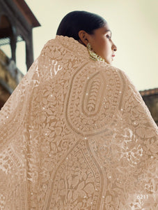 Engagement Special Pastel Brown Net Designer Saree by Fashion Nation