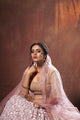 Sangeet Party Wear Designer Lehenga Choli at Best Prices by Fashion Nation