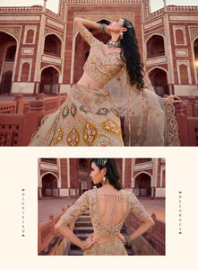 Wedding Party Wear Ghaghra Odhni